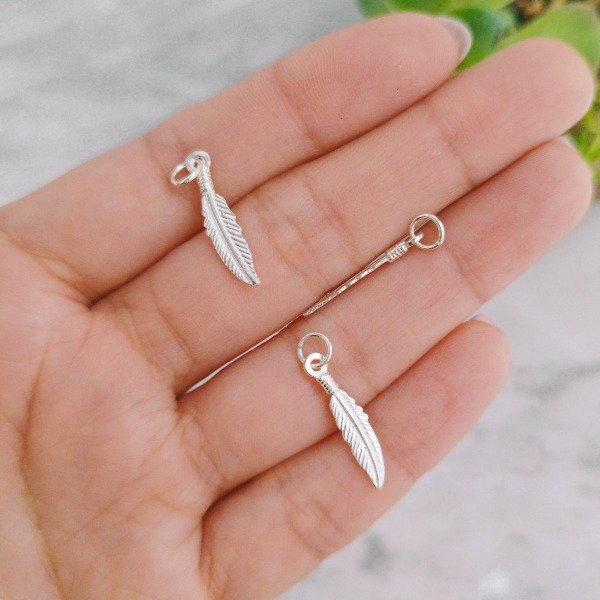 D-NAC.S #3-04C PLUMA