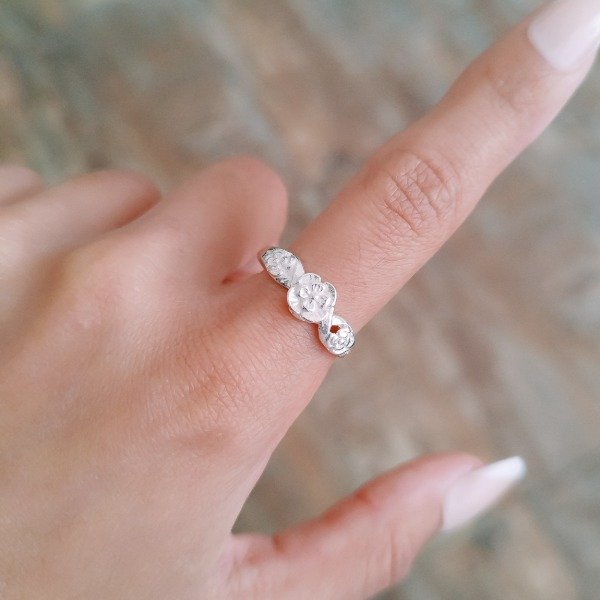 AN-L #2-36 ROSAS (DÓLAR)