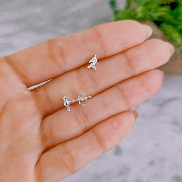 AR.I-P.UNI #1-18 PASANTE