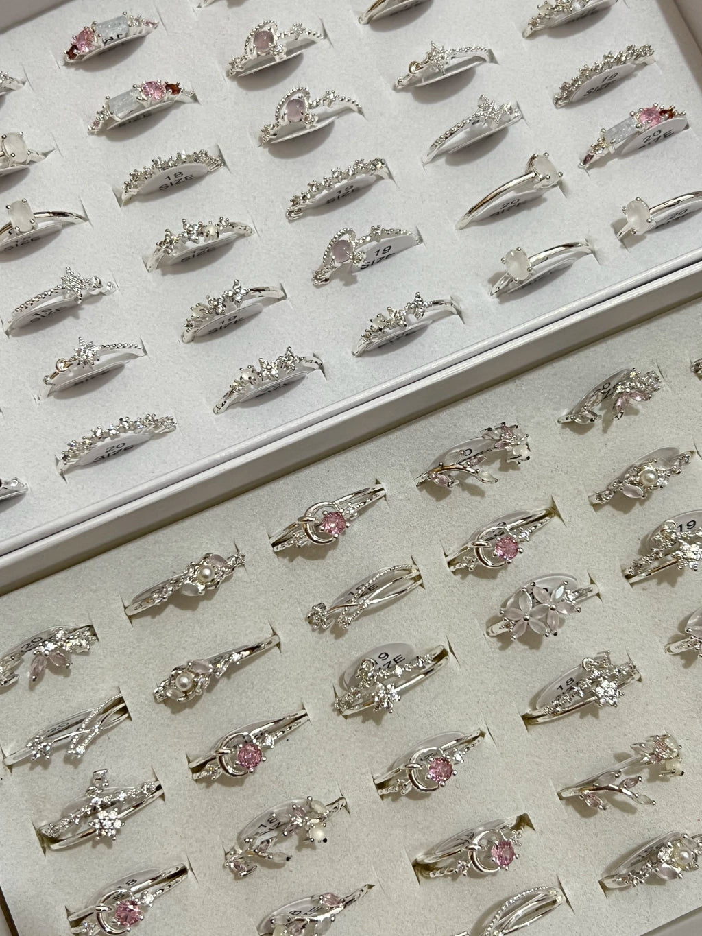30003C anillos en blanco (1)